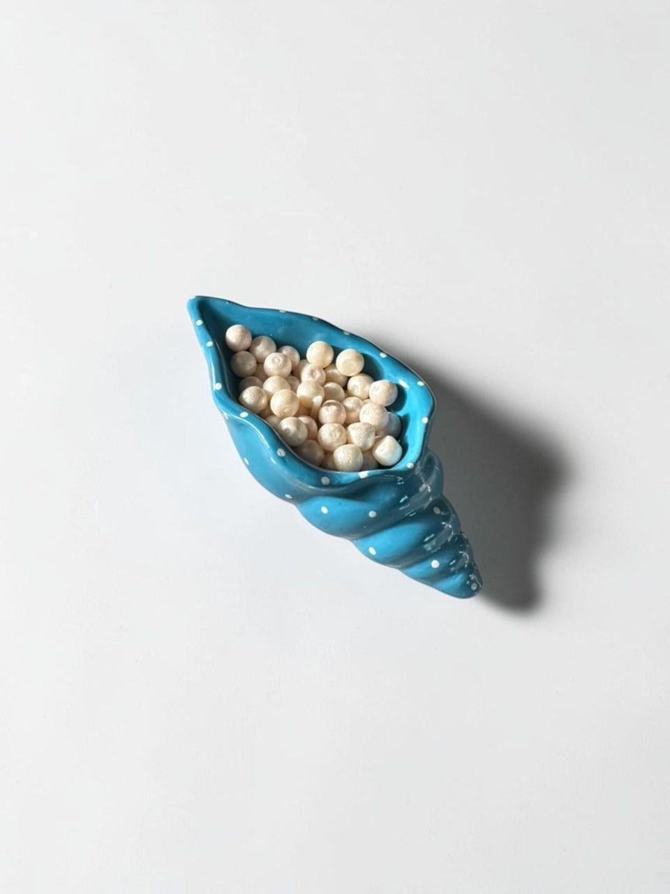Blue Ceramic Dish Set